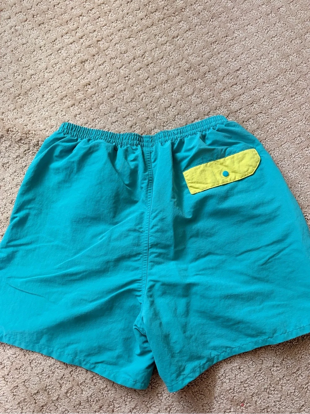 Patagonia Men's Aqua Baggies shorts